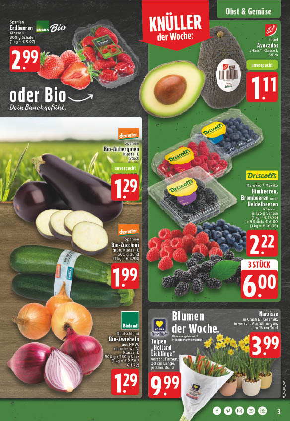 4206ae20-86ff-4ec4-aa1d-d2557ba38fde_3